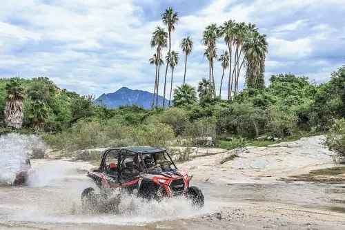 OffRoad 4X4 UTV Adventure with Lunch & Tequila