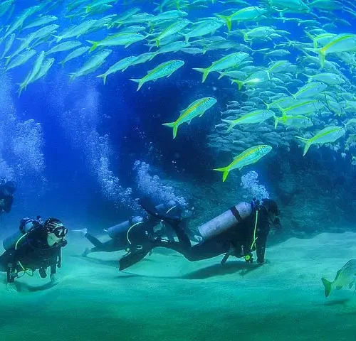 Cabo San Lucas Certified 2 Tank Dive at the Famous Arch and Land's End