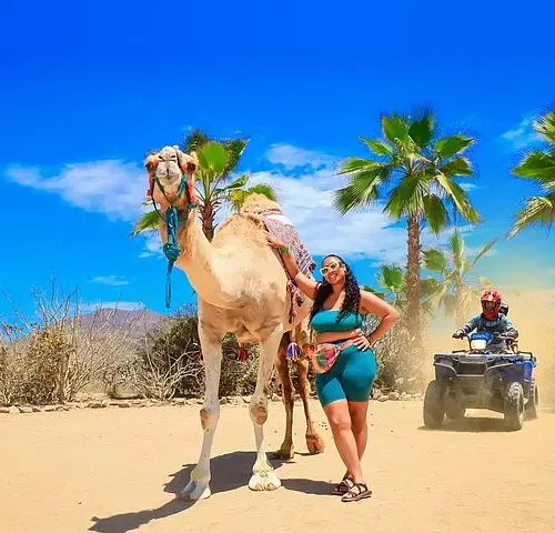ATV Tour, Camel Ride, Tequila Tasting and Mexican Buffet Lunch