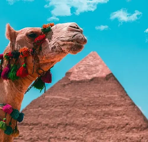Giza, The National Museum and Khan El Khalili Private Day tour
