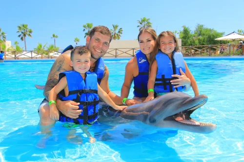 Dolphin Encounter