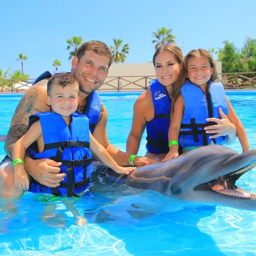 Dolphin Encounter