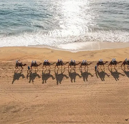 Sunset beach Camel ride with Mexican Buffet and Tequila Tasting