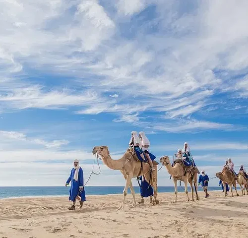 The Original Cabo Camel Ride, Mexican Buffet and Tequila Tasting