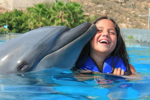 Dolphin Signature Swim