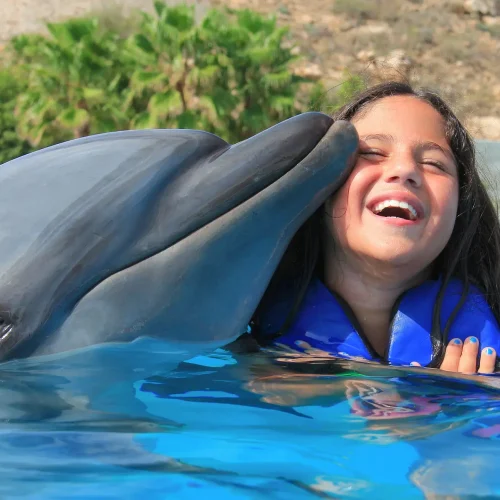 Dolphin Signature Swim