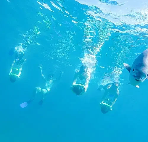 Los Cabos Power snorkel Adventure, Kayaking and Stand-Up Paddle