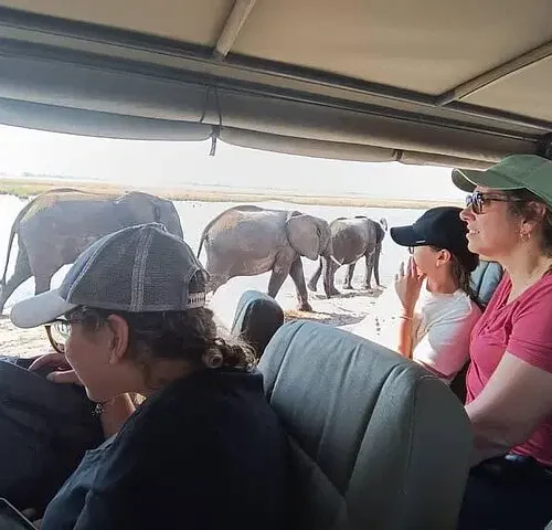 Chobe National Park Full-Day Safari Tour with Boat Ride
