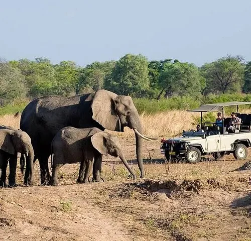 Small Group Tour in the Zambezi National Park