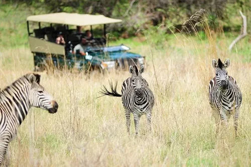 Hwange Day Trip