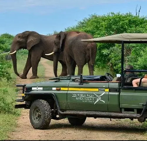 Game Drives in the Zambezi National Park
