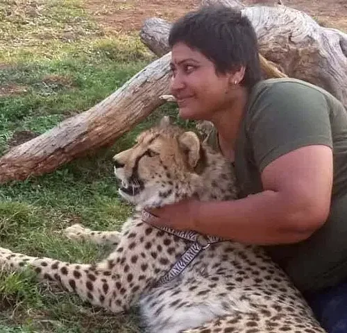 The Cheetah Experience